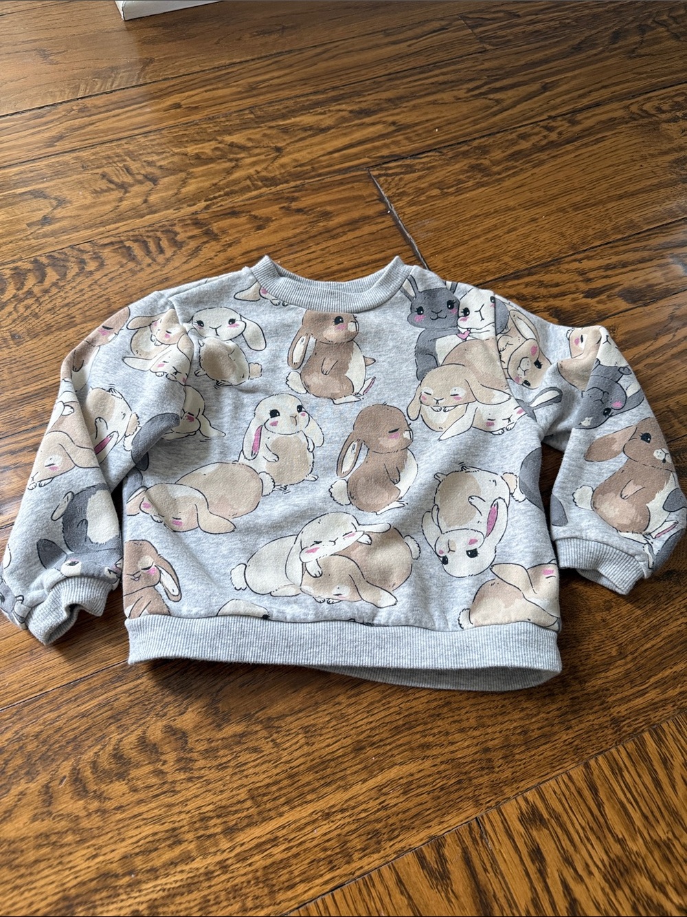 H & M Gray Bunny Print Toddler Sweatshirt
